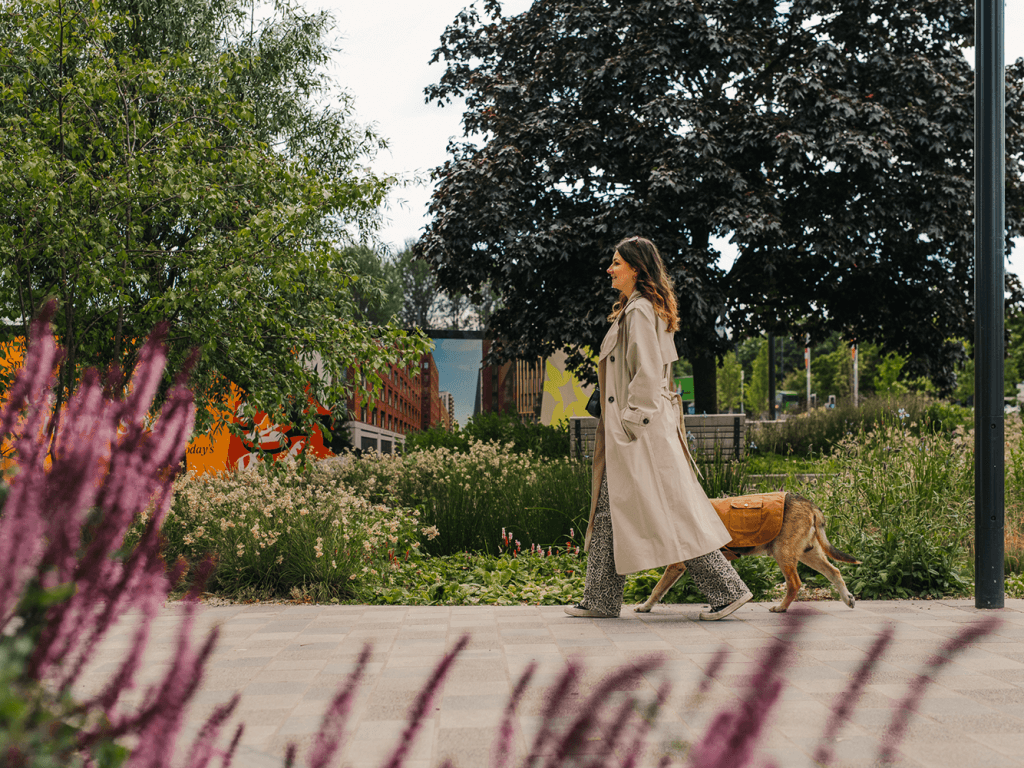 700 new trees, 8-acres green space and a partridge in a pear tree 5