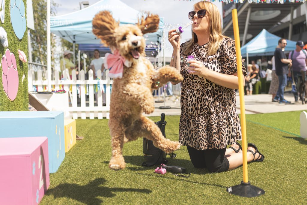 20250531 Whiteley DoggieDay 22