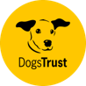 DT Logo