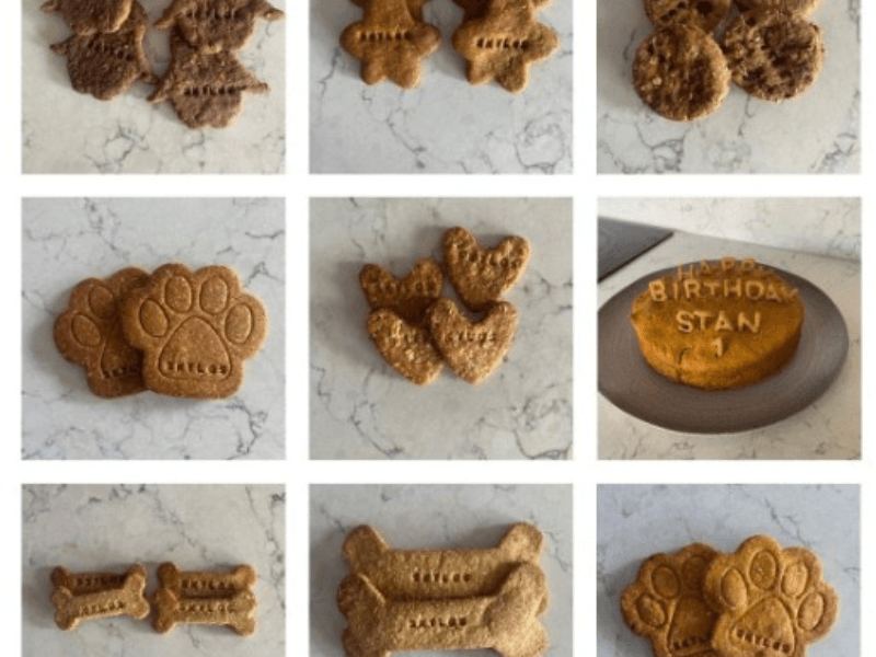 dogtreatweb