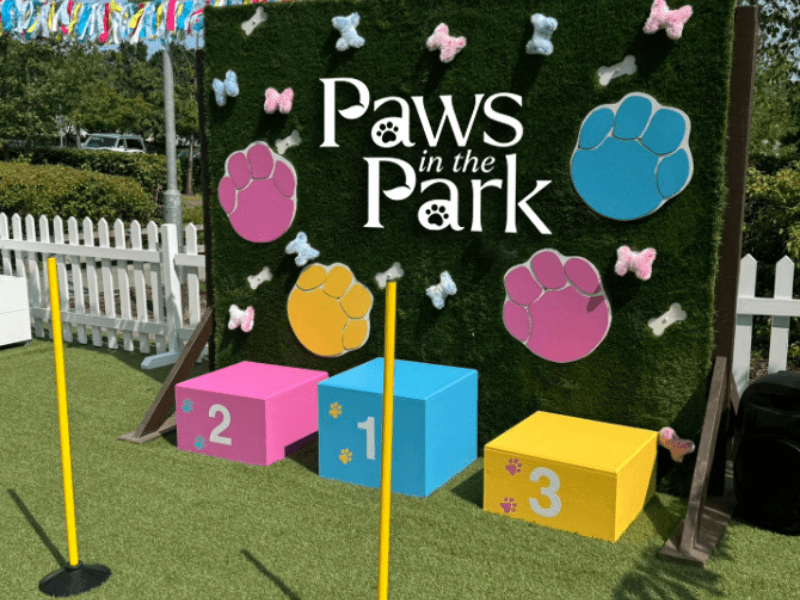 paws web