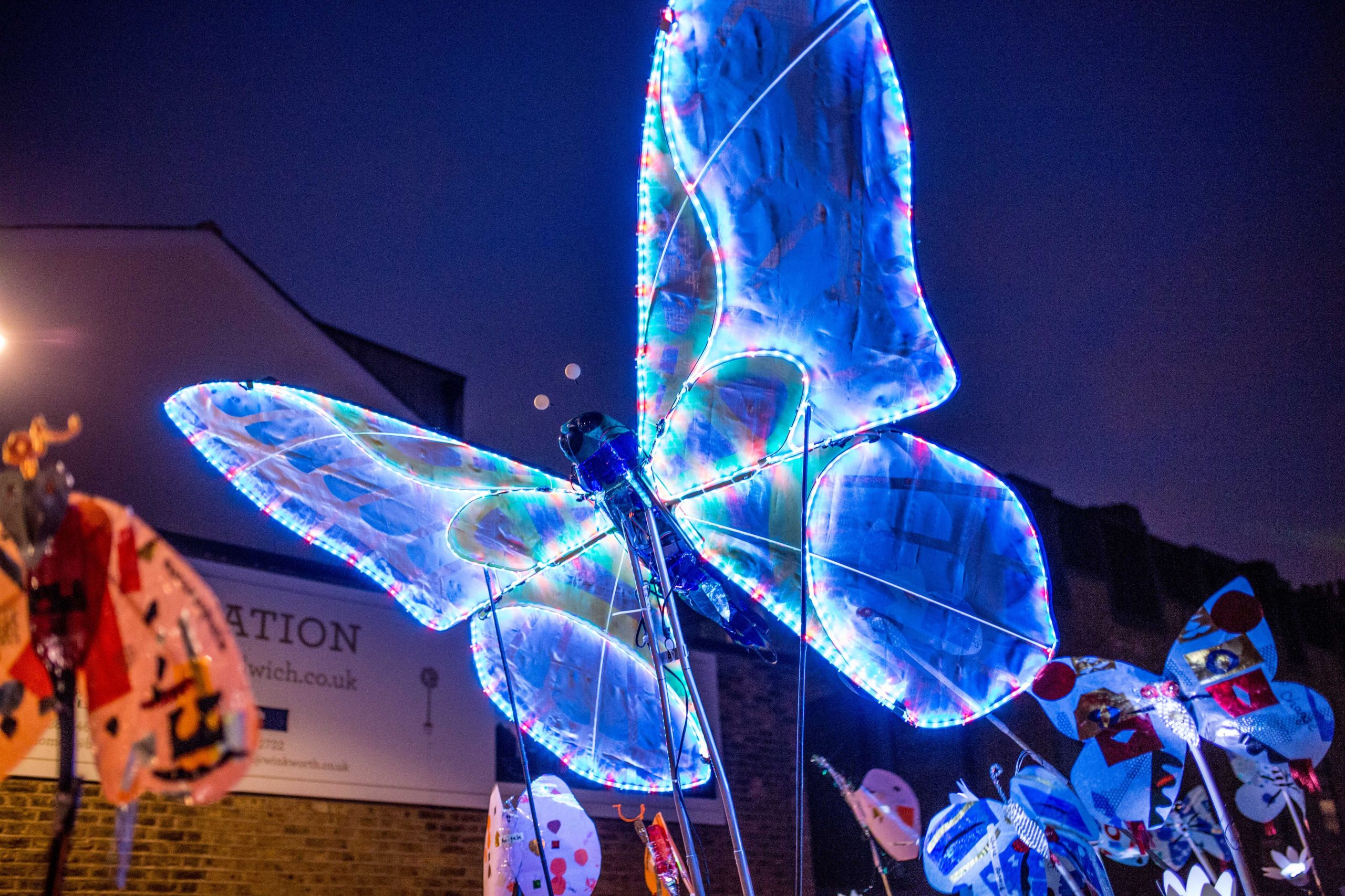 18. Butterflies scaled